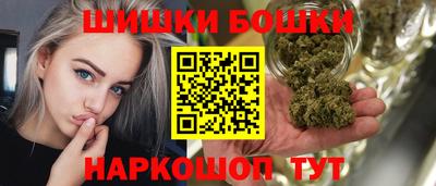 дживик Моздок